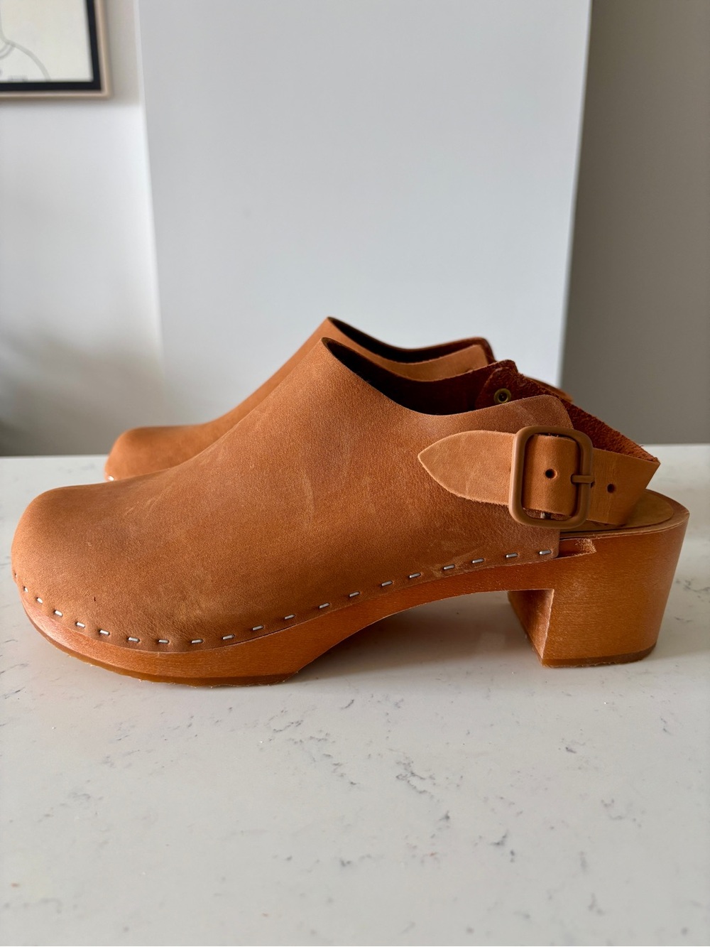 NWOT Bryr Daphne Clog in Cedar | 10